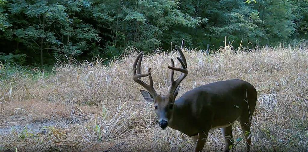 Southwest Old Highway Road Rushville, MO 64484 - Photo 15 of 47