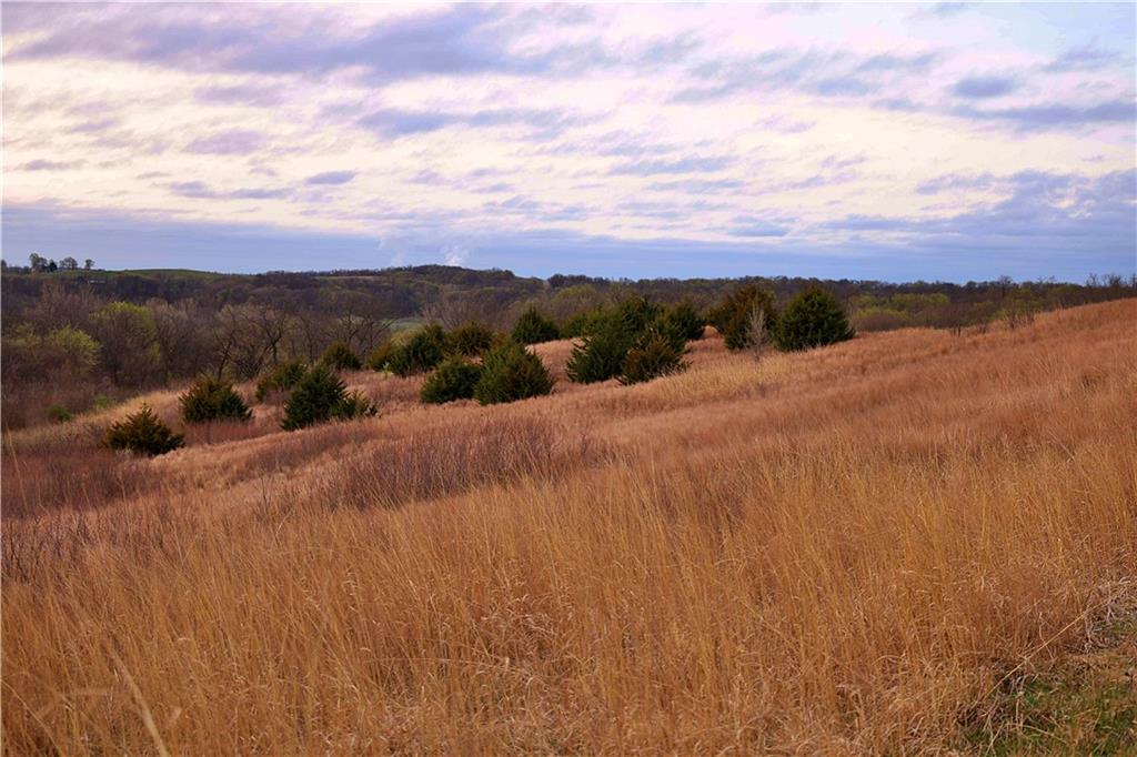 Southwest Old Highway Road Rushville, MO 64484 - Photo 16 of 48