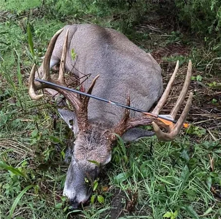 $384,900 | Southwest Old Highway Road, Rushville, MO 64484