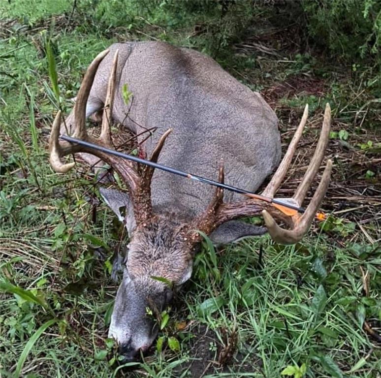 Southwest Old Highway Road Rushville, MO 64484 - Photo 17 of 47