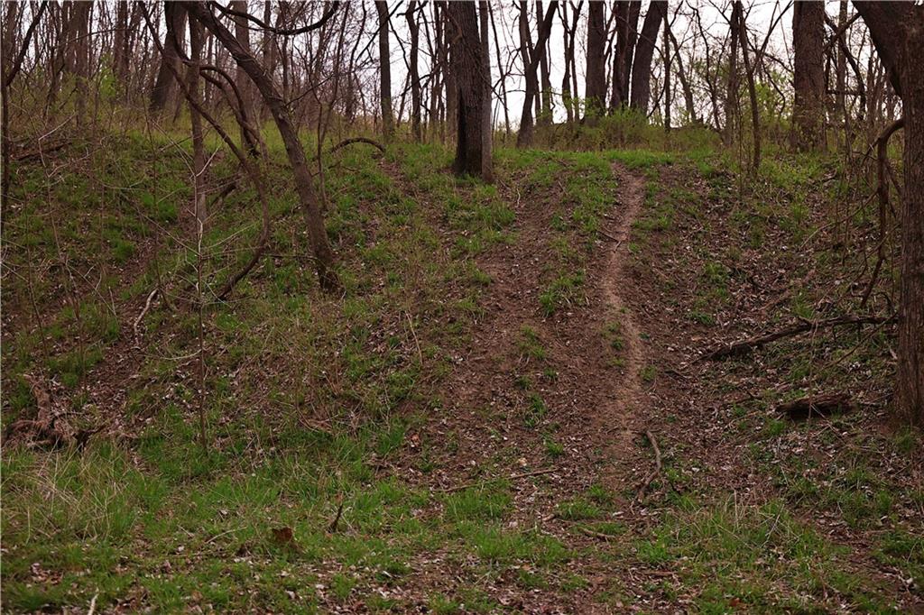 Southwest Old Highway Road Rushville, MO 64484 - Photo 20 of 48
