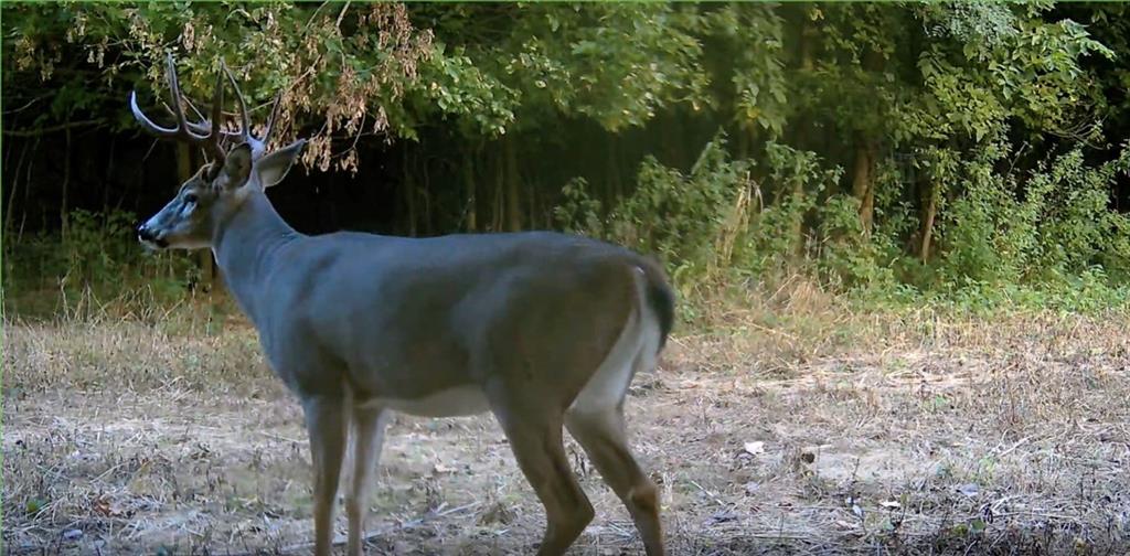 Southwest Old Highway Road Rushville, MO 64484 - Photo 20 of 47