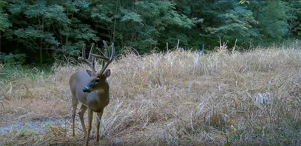 $384,900 | Southwest Old Highway Road, Rushville, MO 64484