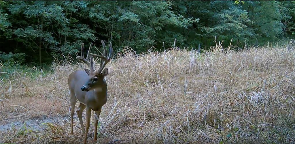 Southwest Old Highway Road Rushville, MO 64484 - Photo 22 of 47