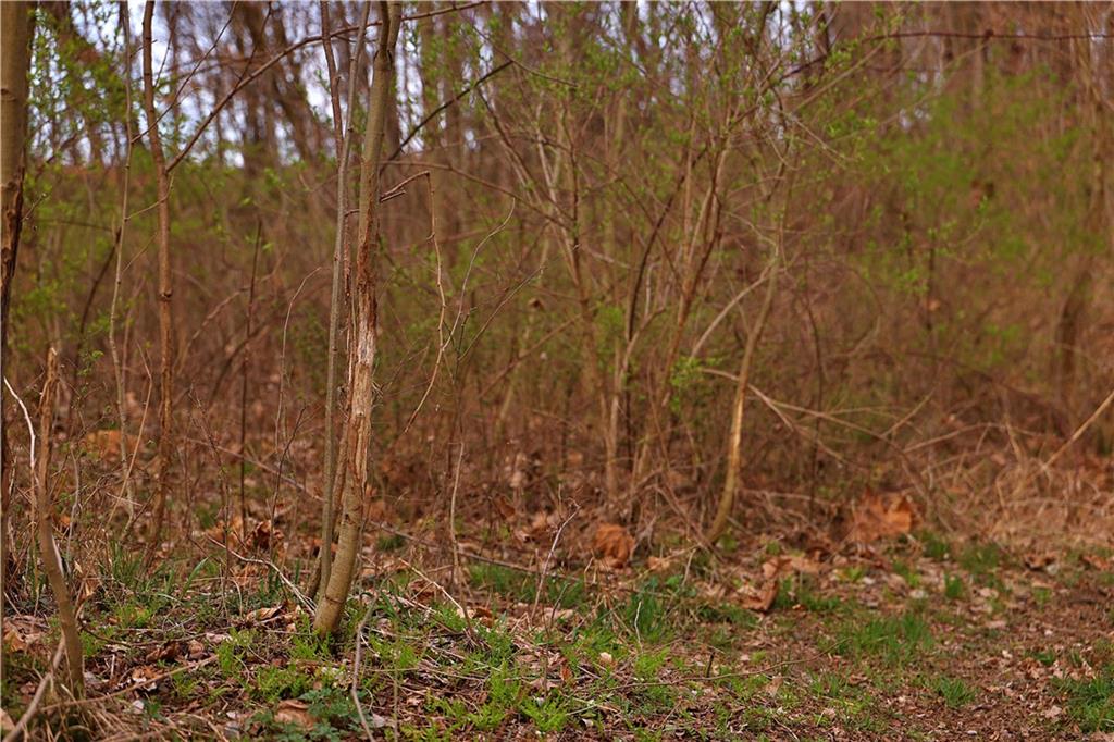 Southwest Old Highway Road Rushville, MO 64484 - Photo 22 of 48