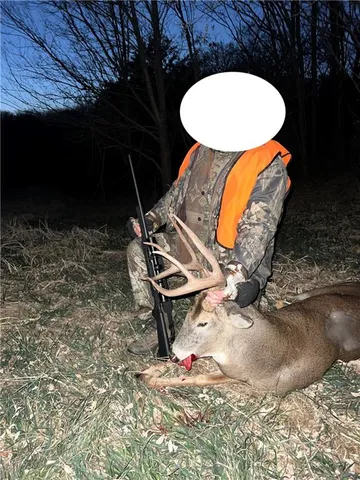 $399,000 | Southwest Old Highway Road, Rushville, MO 64484