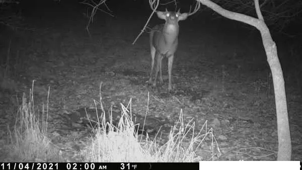 $399,000 | Southwest Old Highway Road, Rushville, MO 64484