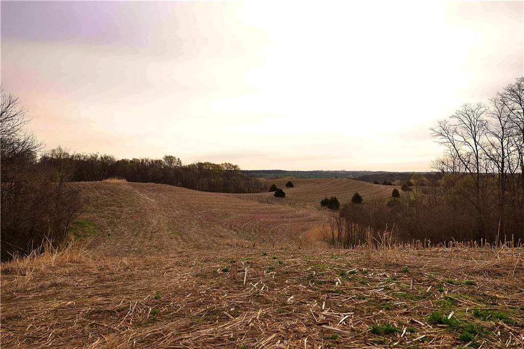 Southwest Old Highway Road Rushville, MO 64484 - Photo 24 of 48