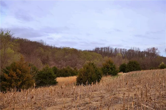 $399,000 | Southwest Old Highway Road, Rushville, MO 64484