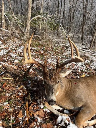 $384,900 | Southwest Old Highway Road, Rushville, MO 64484