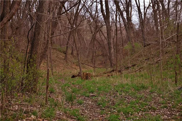 $384,900 | Southwest Old Highway Road, Rushville, MO 64484