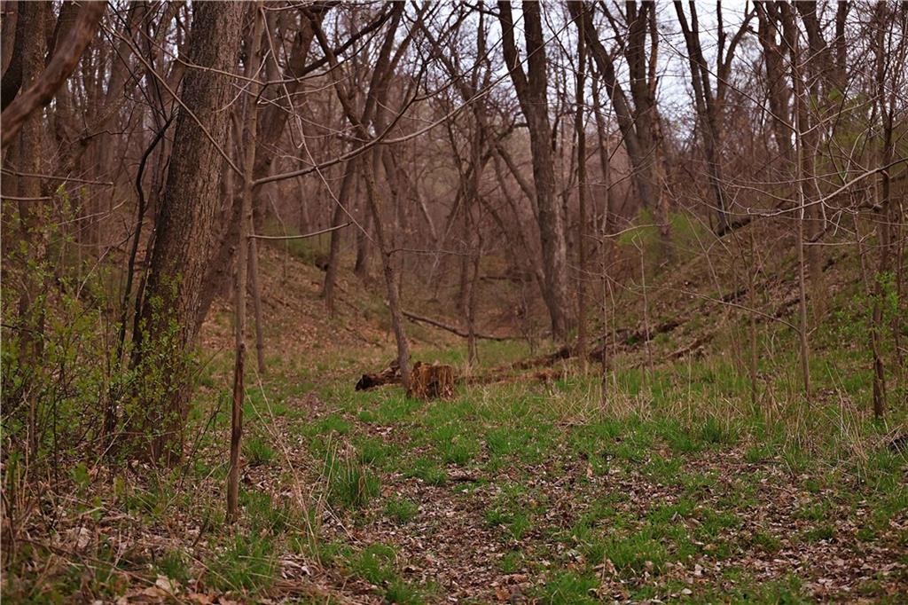 Southwest Old Highway Road Rushville, MO 64484 - Photo 27 of 47