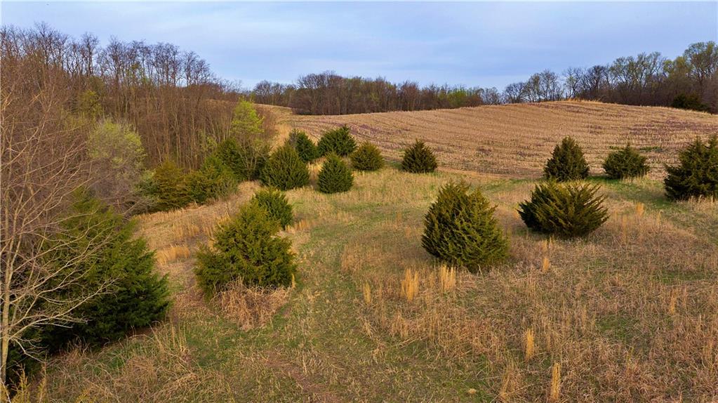 Southwest Old Highway Road Rushville, MO 64484 - Photo 29 of 48