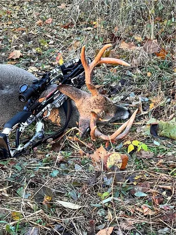 $399,000 | Southwest Old Highway Road, Rushville, MO 64484