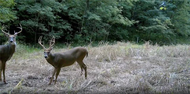 $399,000 | Southwest Old Highway Road, Rushville, MO 64484