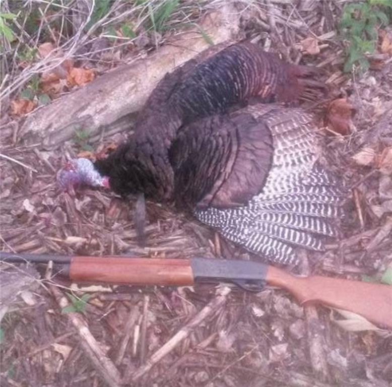 Southwest Old Highway Road Rushville, MO 64484 - Photo 32 of 47