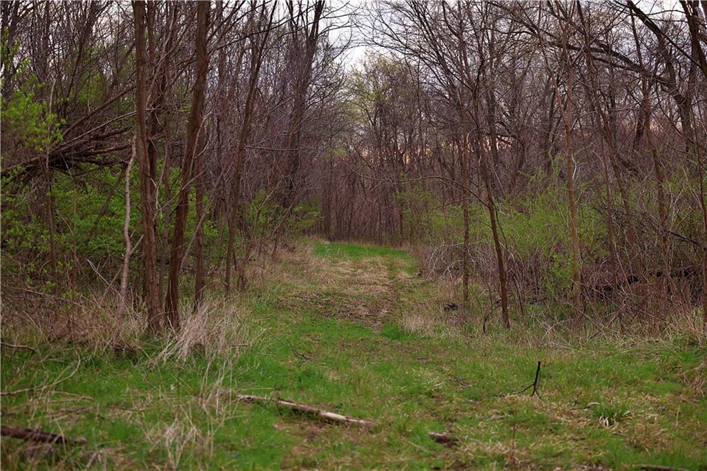 Southwest Old Highway Road Rushville, MO 64484 - Photo 33 of 48