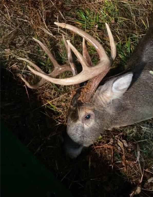 Southwest Old Highway Road Rushville, MO 64484 - Photo 33 of 47