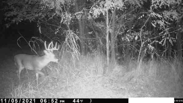 Southwest Old Highway Road Rushville, MO 64484 - Photo 34 of 47