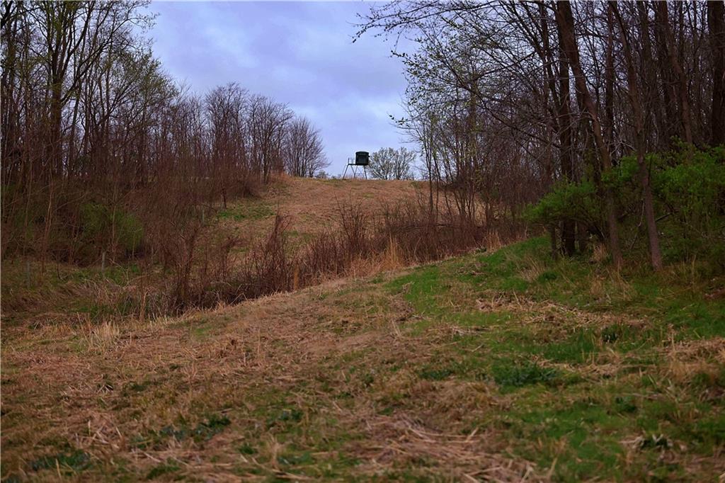 Southwest Old Highway Road Rushville, MO 64484 - Photo 35 of 47