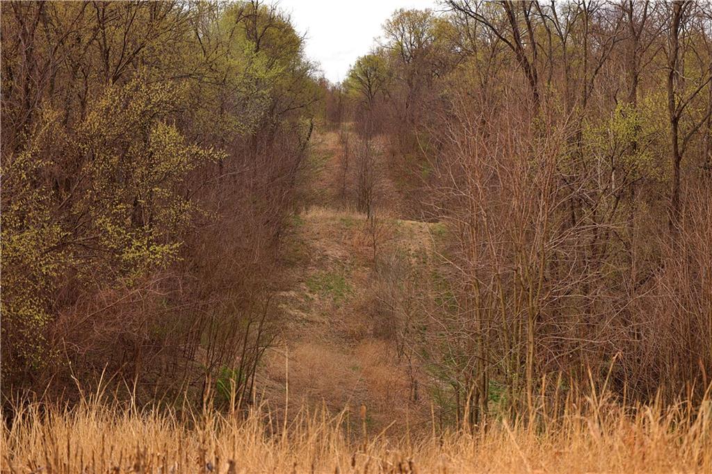 Southwest Old Highway Road Rushville, MO 64484 - Photo 37 of 48