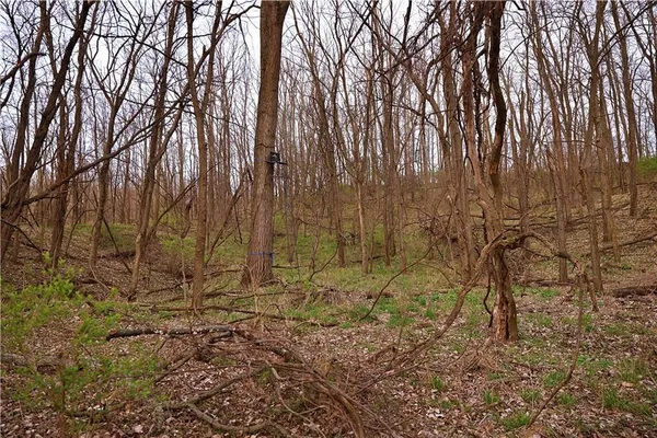 $384,900 | Southwest Old Highway Road, Rushville, MO 64484