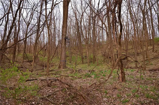 $399,000 | Southwest Old Highway Road, Rushville, MO 64484