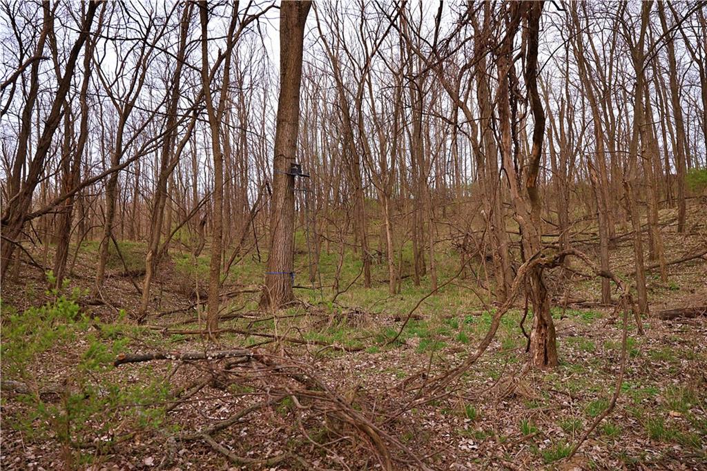 Southwest Old Highway Road Rushville, MO 64484 - Photo 38 of 47