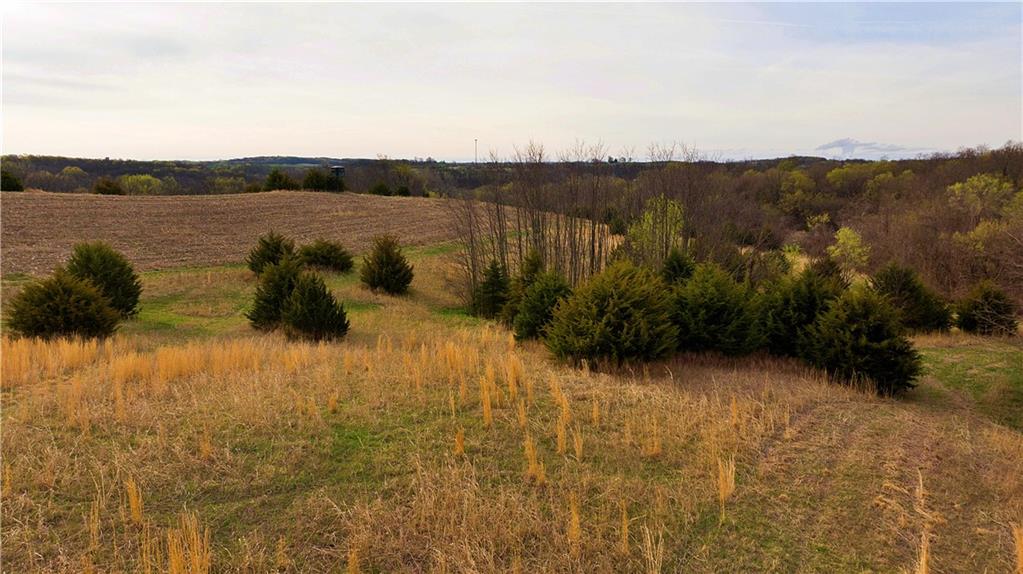 Southwest Old Highway Road Rushville, MO 64484 - Photo 41 of 48