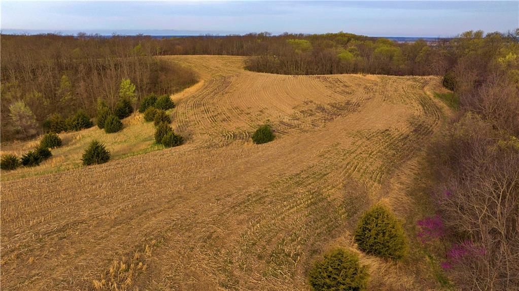 Southwest Old Highway Road Rushville, MO 64484 - Photo 44 of 47