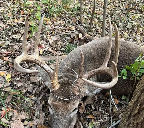 $384,900 | Southwest Old Highway Road, Rushville, MO 64484