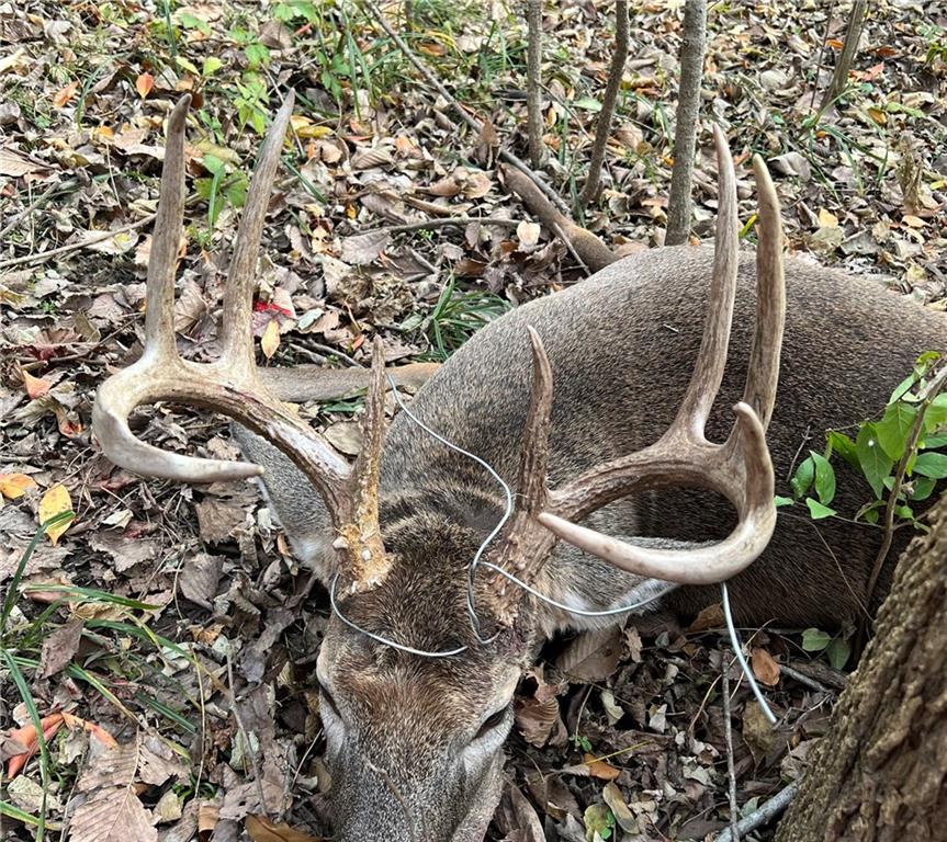 Southwest Old Highway Road Rushville, MO 64484 - Photo 47 of 47