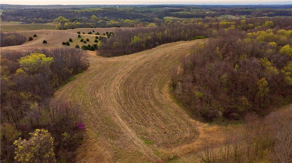 Southwest Old Highway Road Rushville, MO 64484 - Photo 5 of 48
