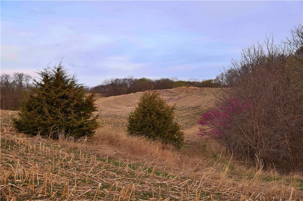 Southwest Old Highway Road Rushville, MO 64484 - Photo 8 of 47