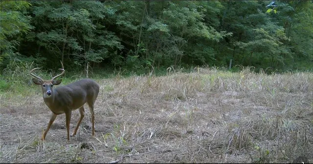 $399,000 | Southwest Old Highway Road, Rushville, MO 64484