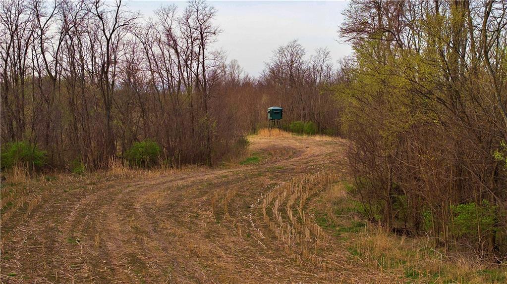 Southwest Old Highway Road Rushville, MO 64484 - Photo 8 of 48