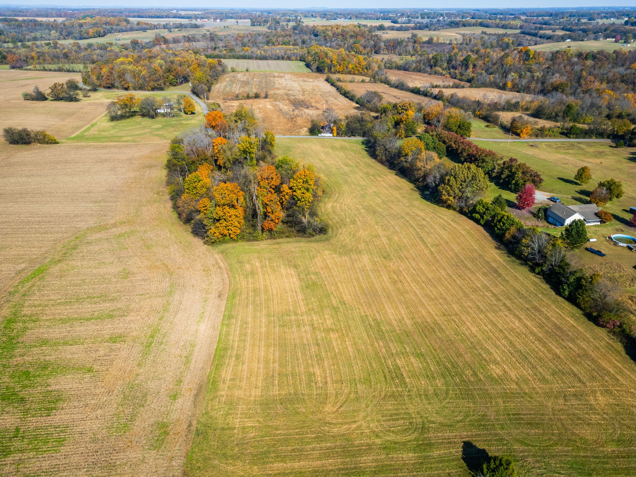 7265 Bob Carr Road Cross Plains, TN 37049 - Photo 9 of 14