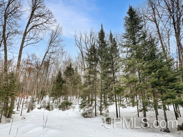 176 East Lake Emily Road Crystal Falls, MI 49920 - Photo 17 of 17