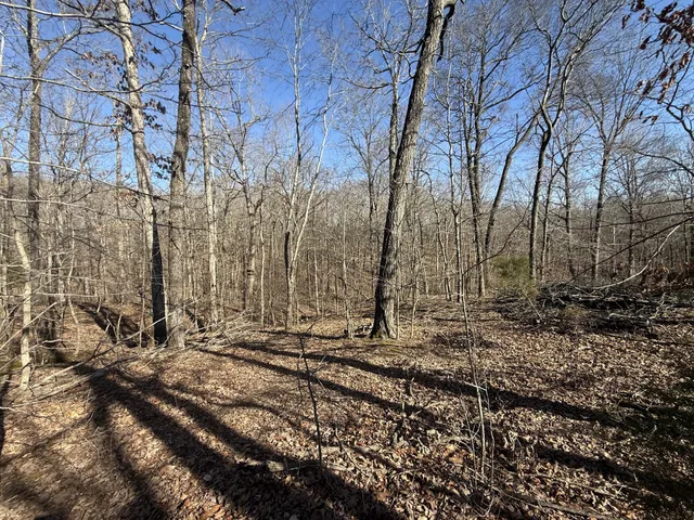 a view of a backyard of the house