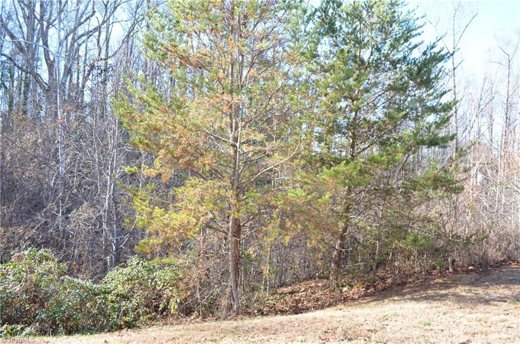 4688 Heatherly Road Winston-Salem, NC 27105 - Photo 17 of 17 View from rear of house.