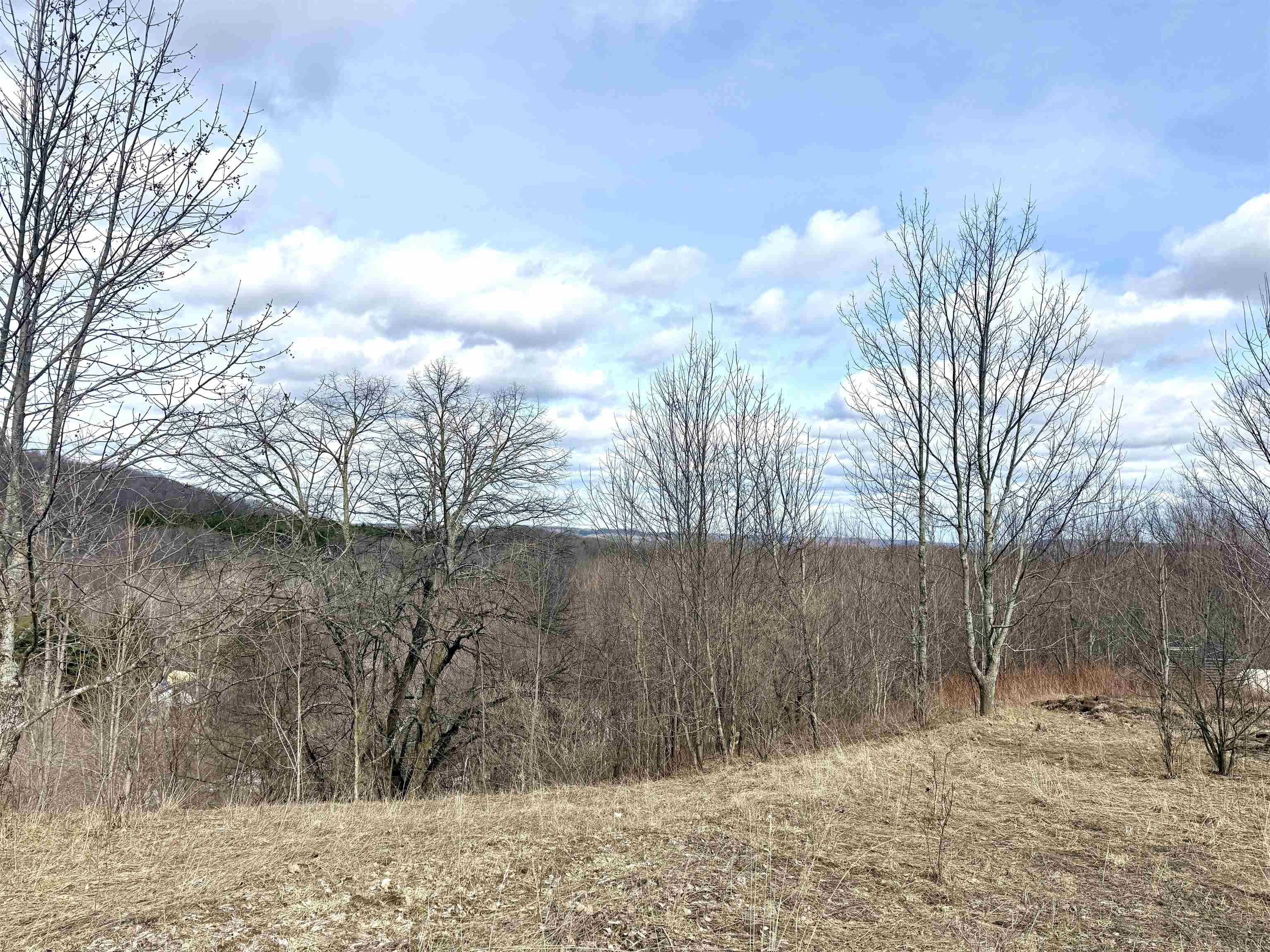 0 East Darga Road Cedar, MI 49621 - Photo 6 of 23