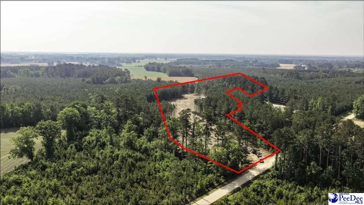 Tbd Newberry Road Lamar, SC 29069 - Photo 1 of 15 Gallery Image 1