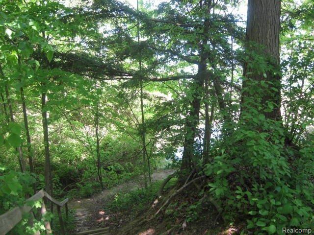7405 Walbridge Road Lexington, MI 48450 - Photo 16 of 20 RAVINE TO THE N.