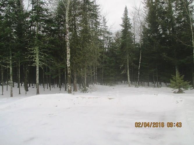 775 North Dexter Road Sangerville, ME 04479 - Photo 17 of 19 Photo