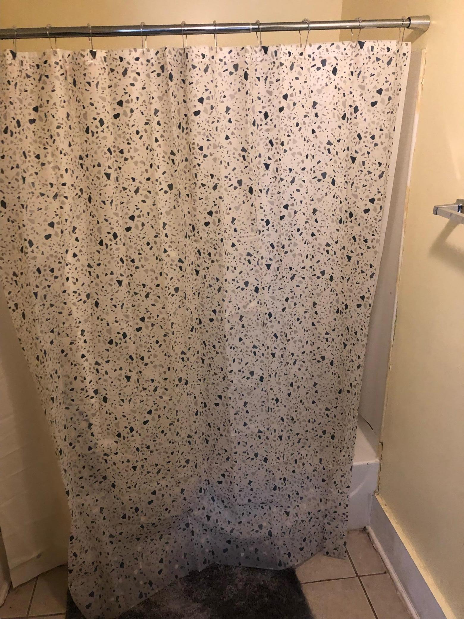 3213 North 4th Street Minneapolis, MN 55412 - Photo 3 of 11