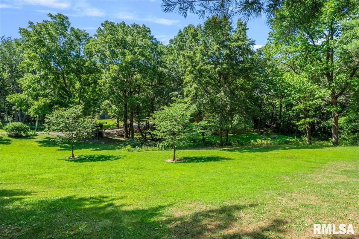 21176 Hideaway Estates Road Petersburg, IL 62675 - Photo 11 of 16 Gallery Image 11