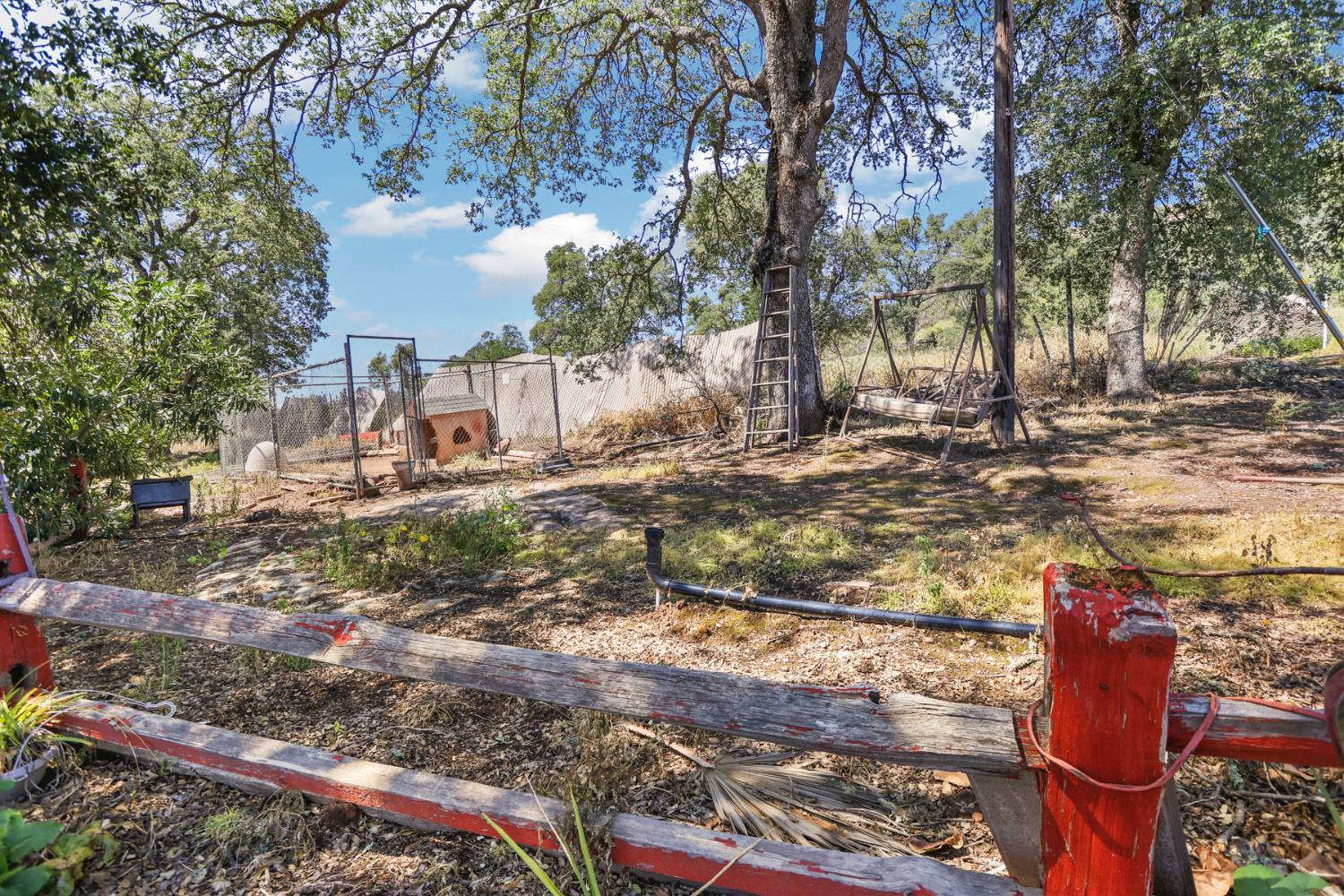 901 Quail Oaks Road Valley Springs, CA 95252 - Photo 54 of 59 a view of yard with tree