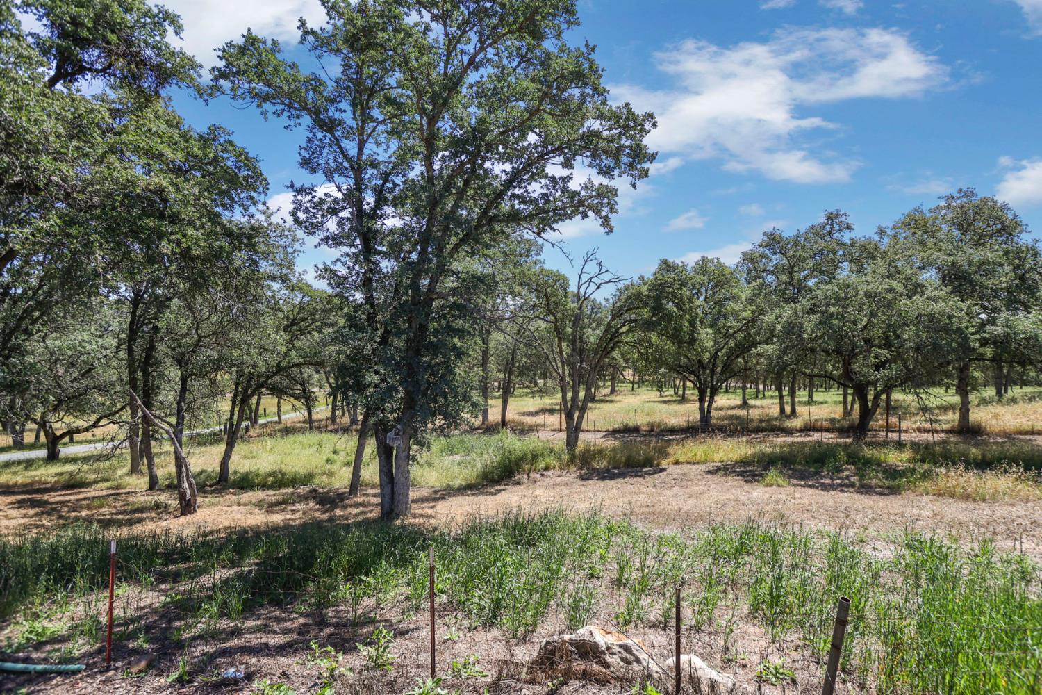 901 Quail Oaks Road Valley Springs, CA 95252 - Photo 55 of 59 a backyard of a house with a table and chairs