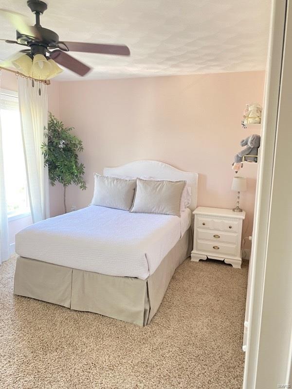 808 Hawkridge Run Shiloh, IL 62221 - Photo 20 of 40 Gallery Image 20