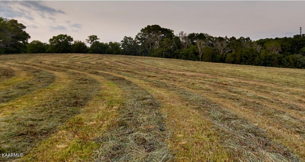 Lot 9 Lowes Ferry Road Louisville, TN 37777 - Photo 2 of 4 Osprey 2